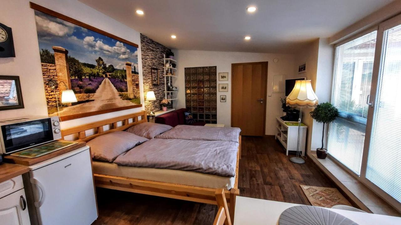 Apartman Za Kopcem ボスコヴィツェ エクステリア 写真