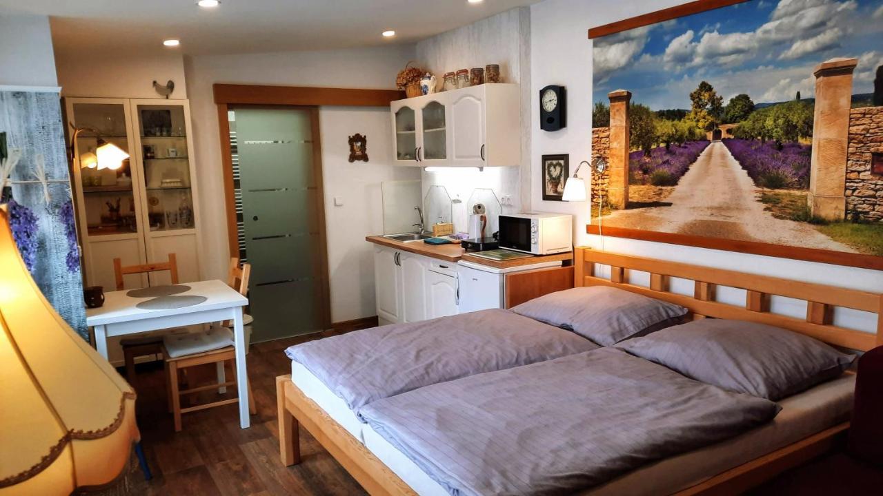 Apartman Za Kopcem ボスコヴィツェ エクステリア 写真