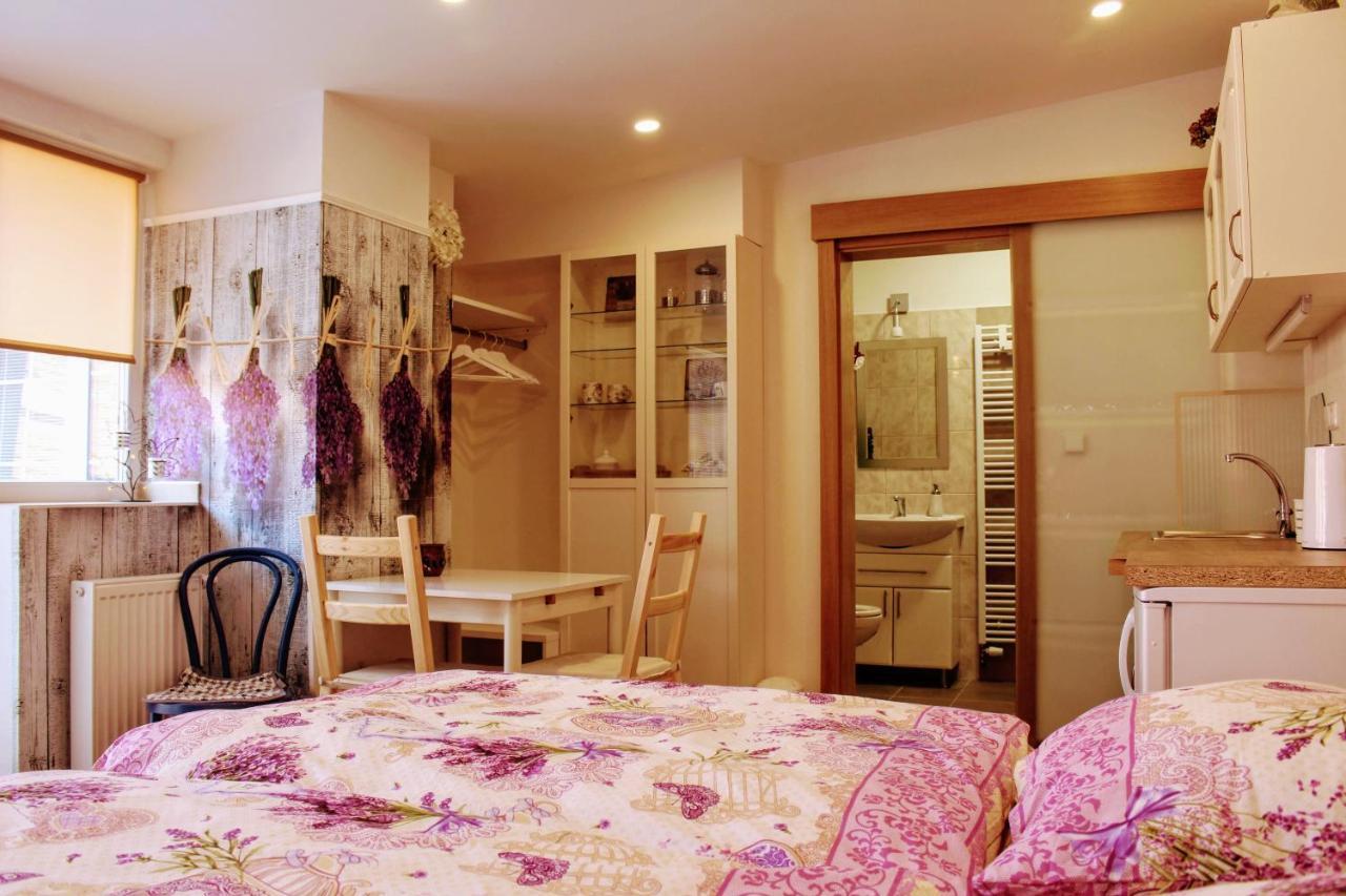 Apartman Za Kopcem ボスコヴィツェ エクステリア 写真